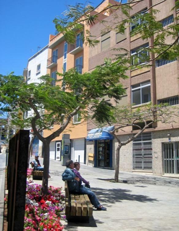 S/C De Tenerife, Apartamento 1 Dormitorio سانتا كروز دي تينيريف المظهر الخارجي الصورة